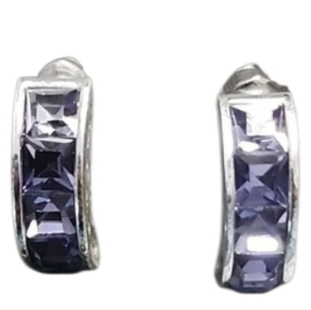 Roman Silvertone Purple Crystal Stainless Steel Earrings